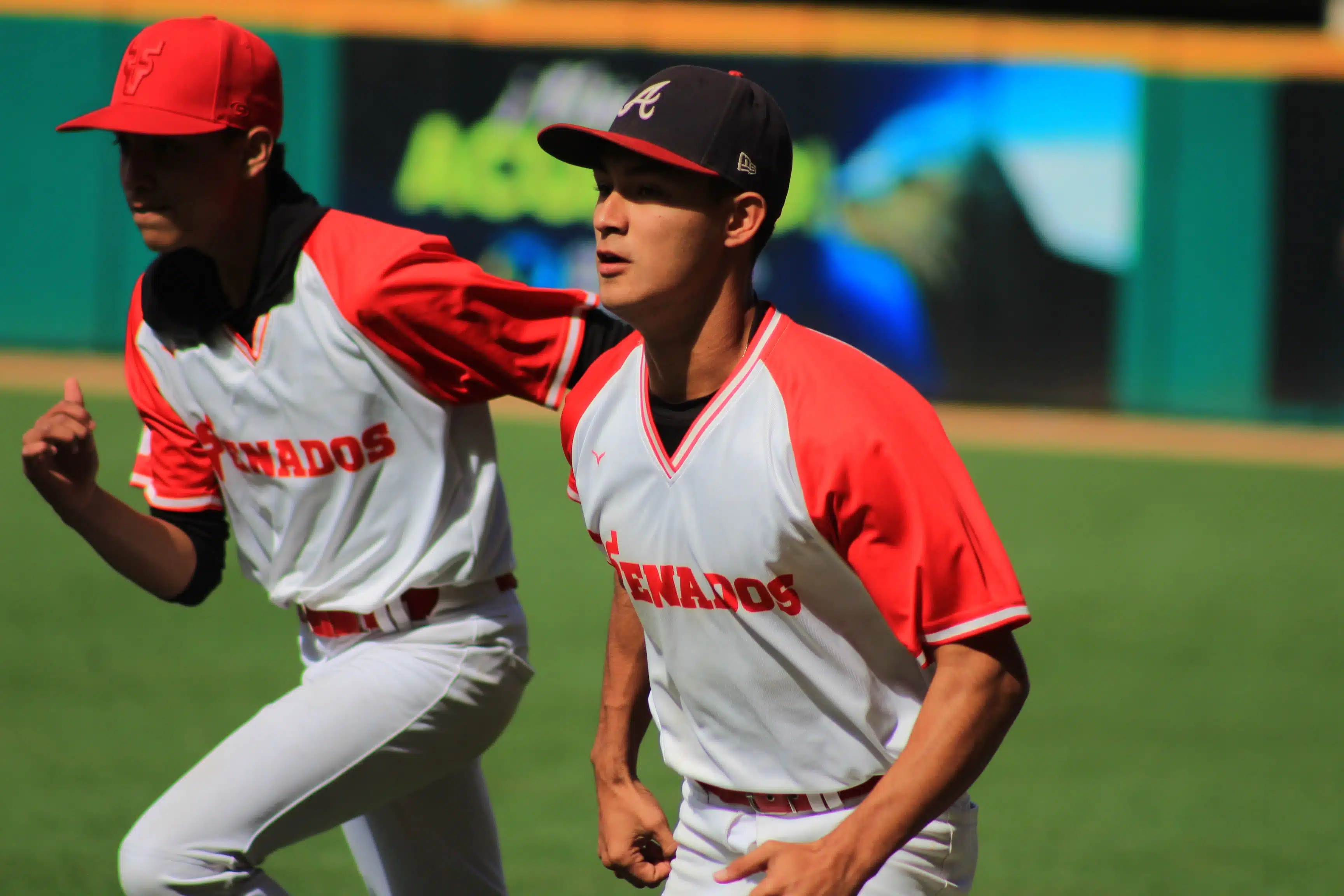 CAZA DE TALENTOS VENADOS DE MAZATLÁN BÉISBOL