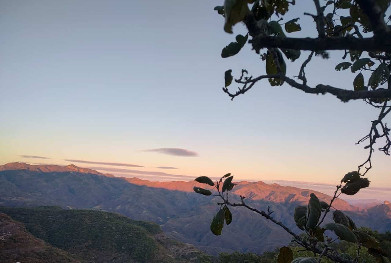 Clima de Sinaloa