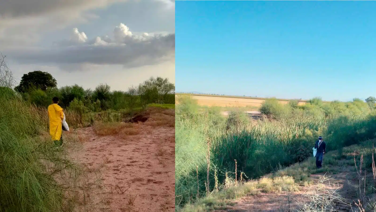 Cae el termómetro hasta los 2.5 grados en el valle del Carrizo