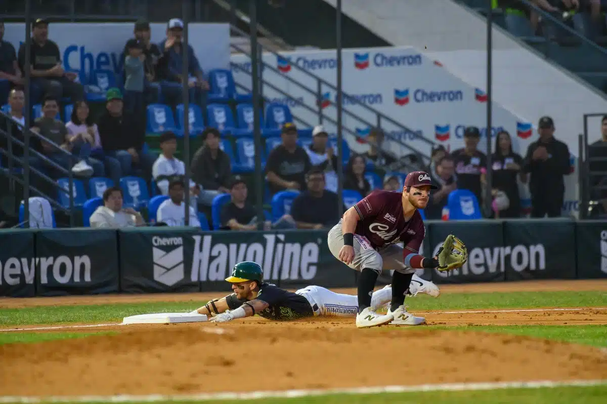 Cañeros Tomateros