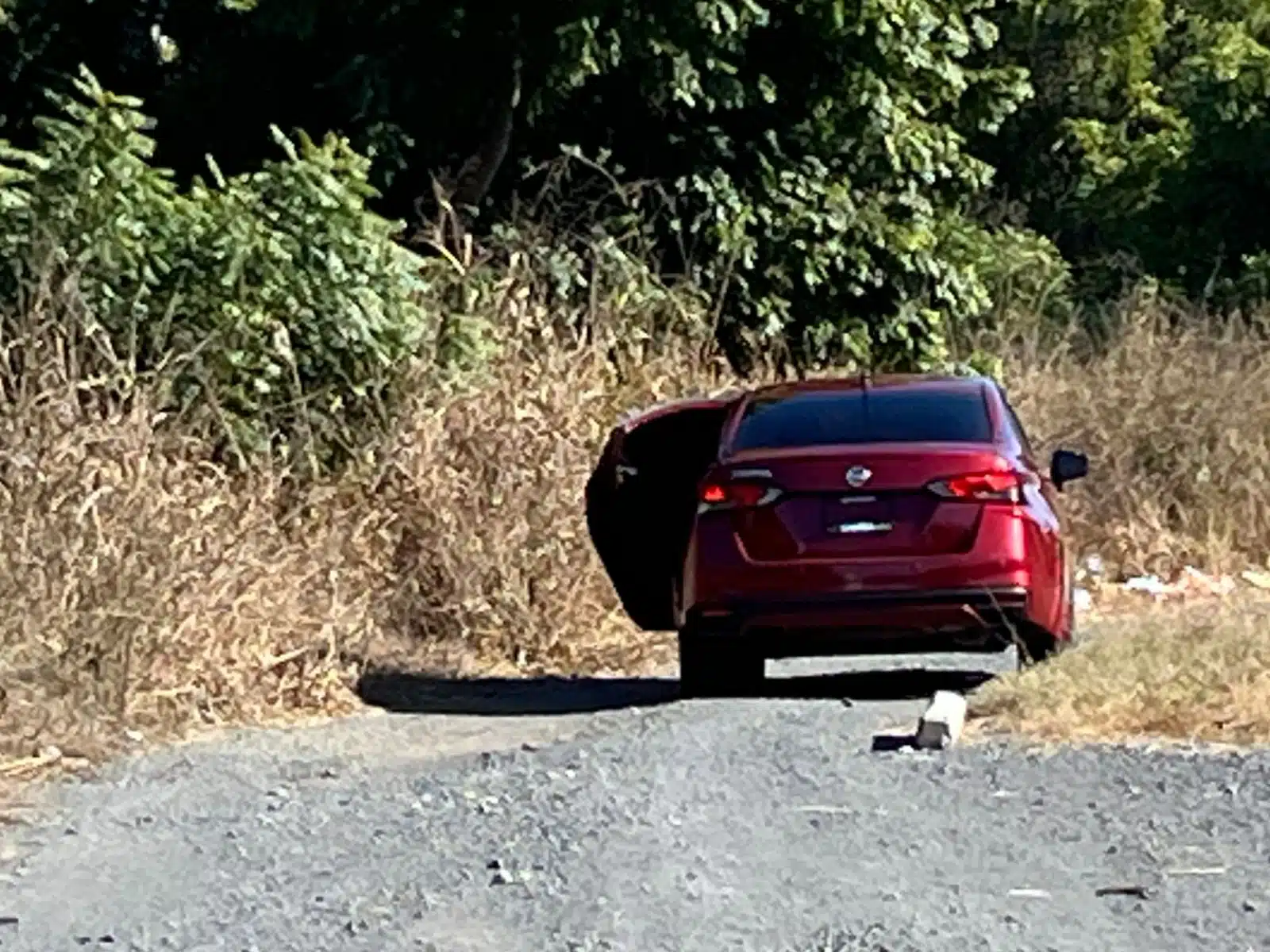 DESPOJO AUTO ASALTO MAZATLÁN (1)