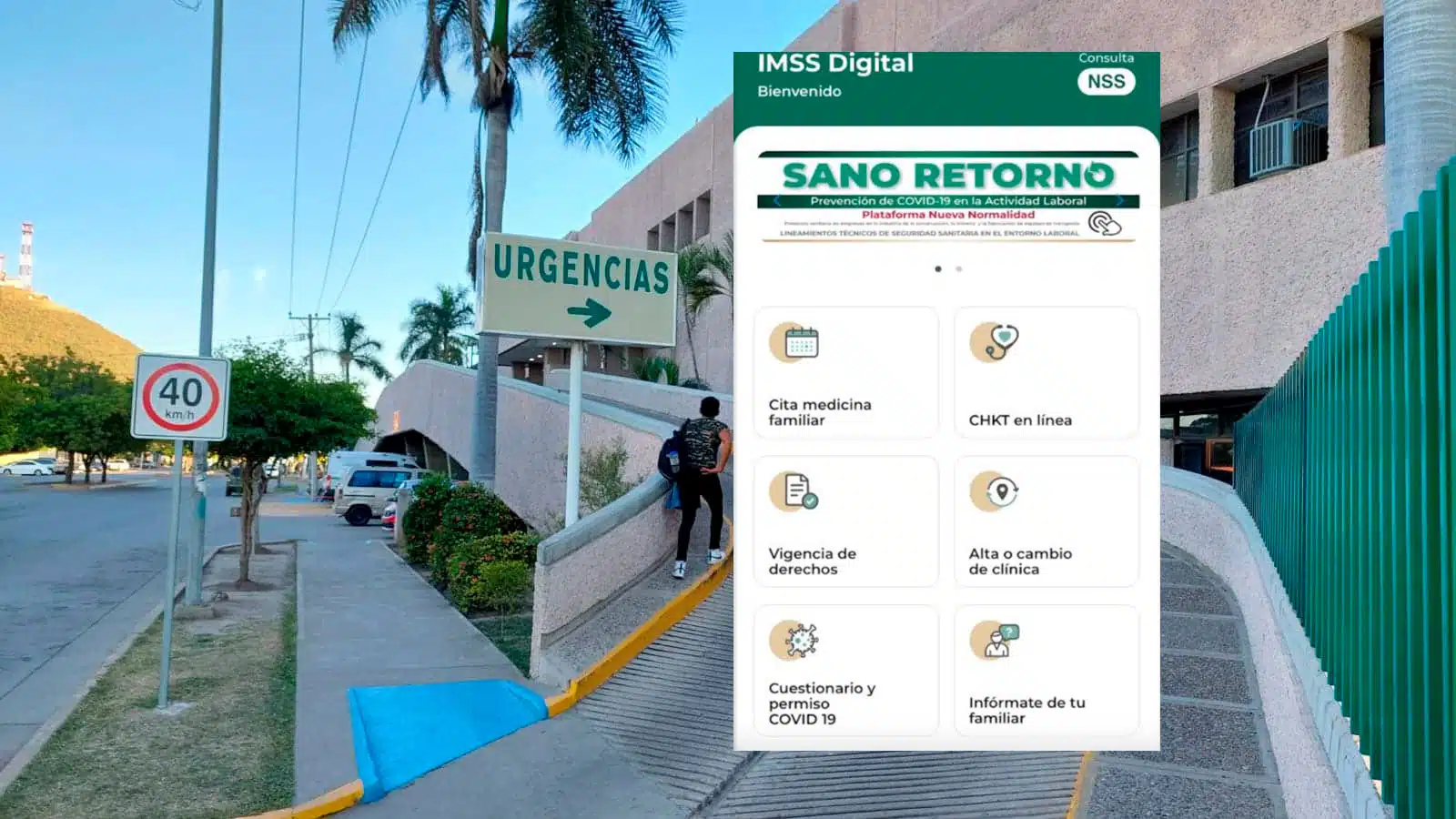 El imss en tu celular app