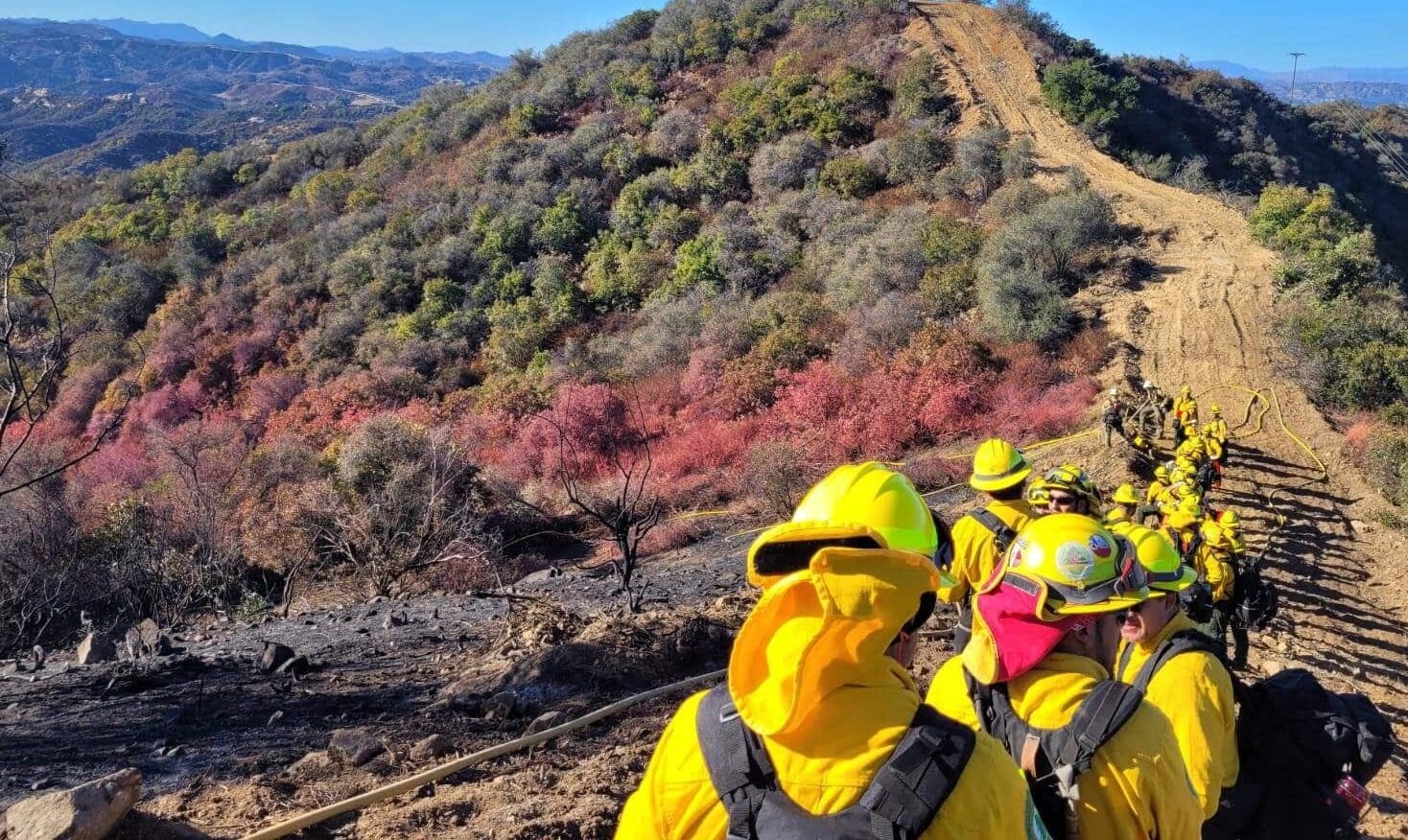 delegación mexicana ya combate incendios en California, EU