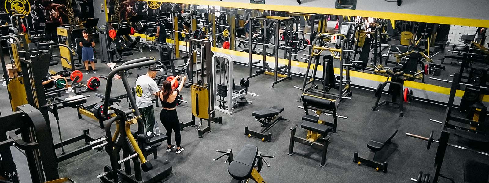 Gimnasio