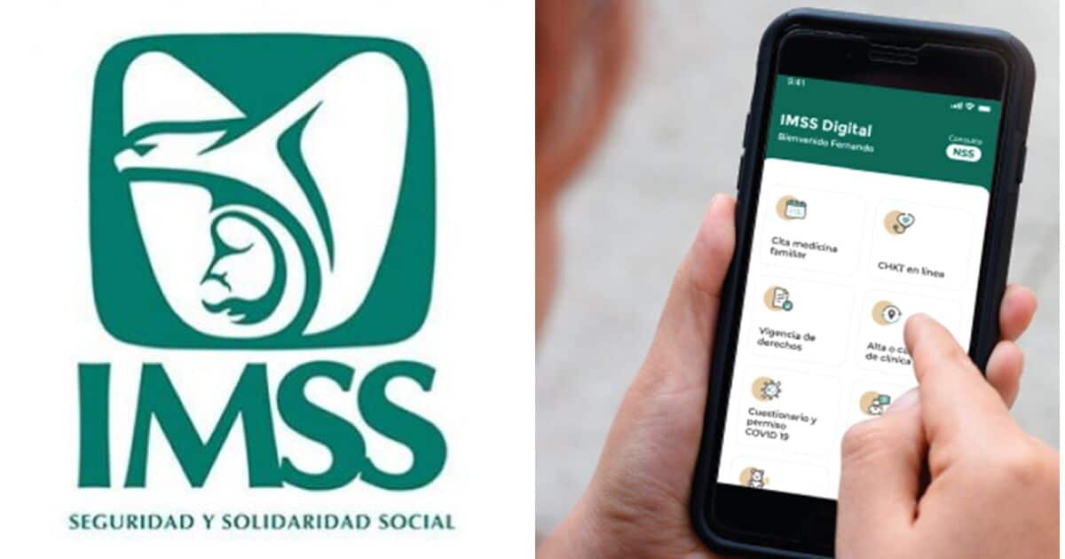 ¿Estás afiliado al IMSS? Así puedes consultar tu vigencia de derechos en este 2025