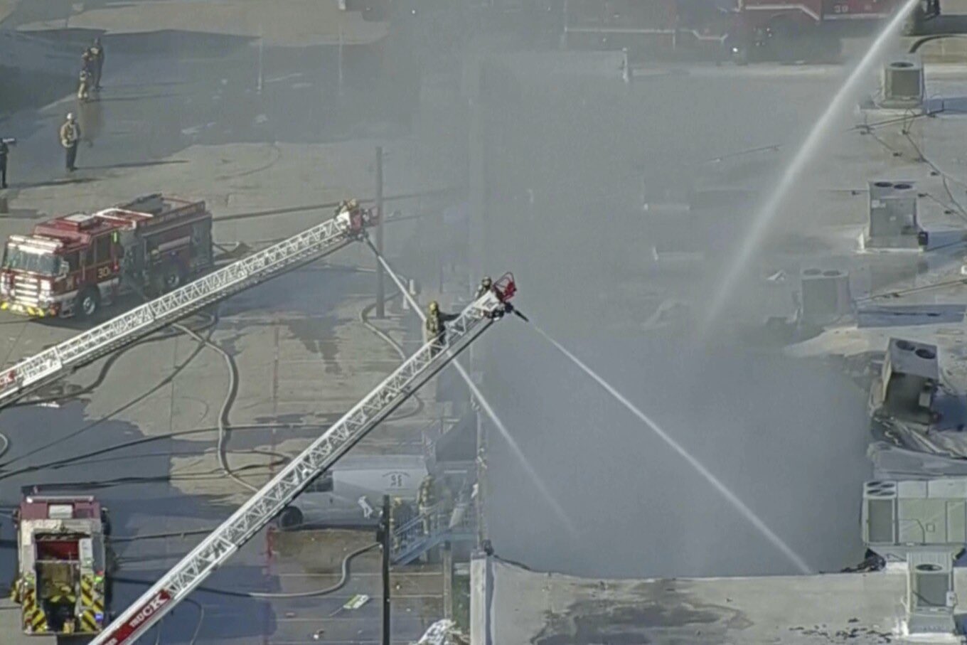 Incendio provoca la muerte de más de 500 animales en un centro comercial de Dallas, EU