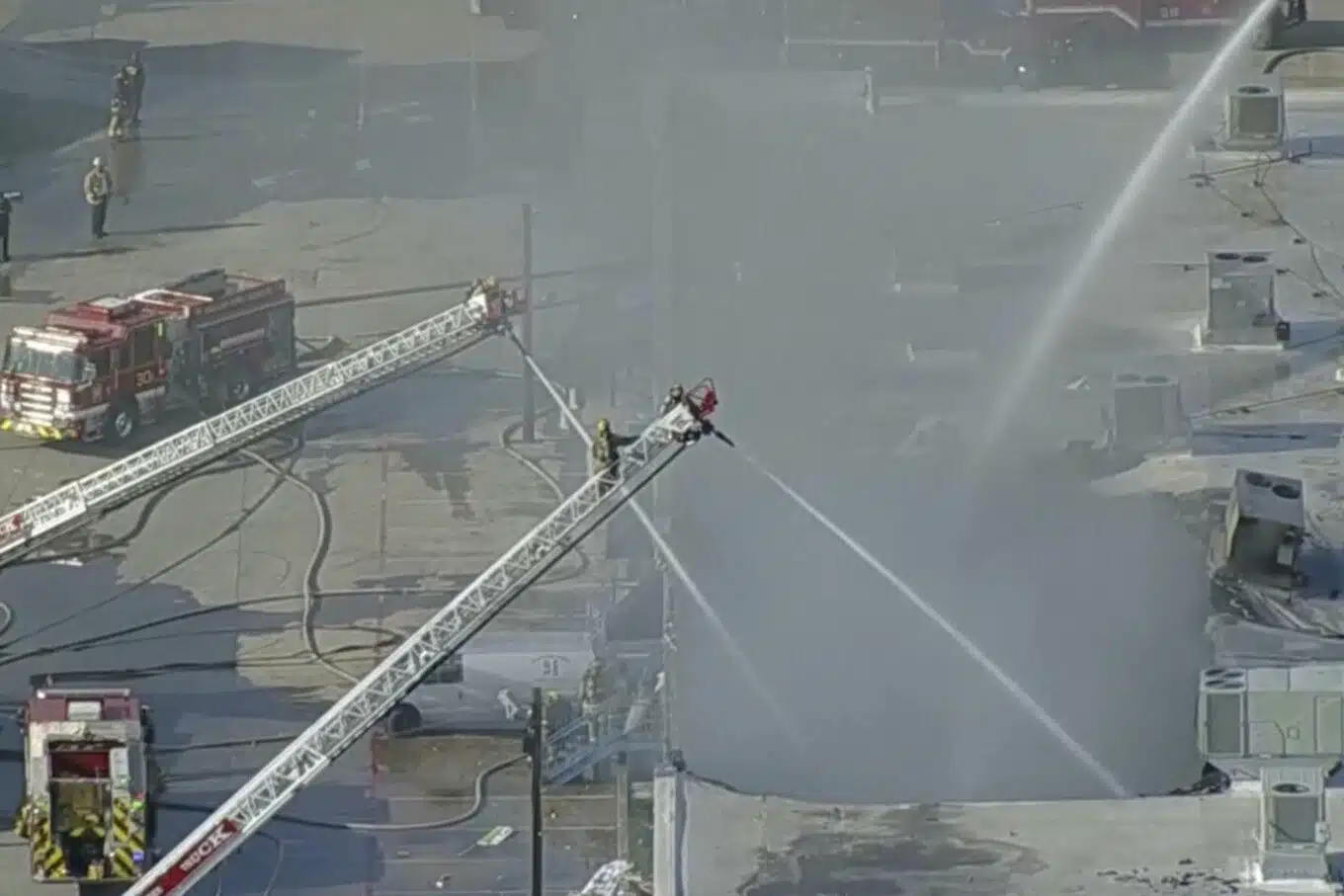 Incendio provoca la muerte de más de 500 animales en un centro comercial de Dallas, EU