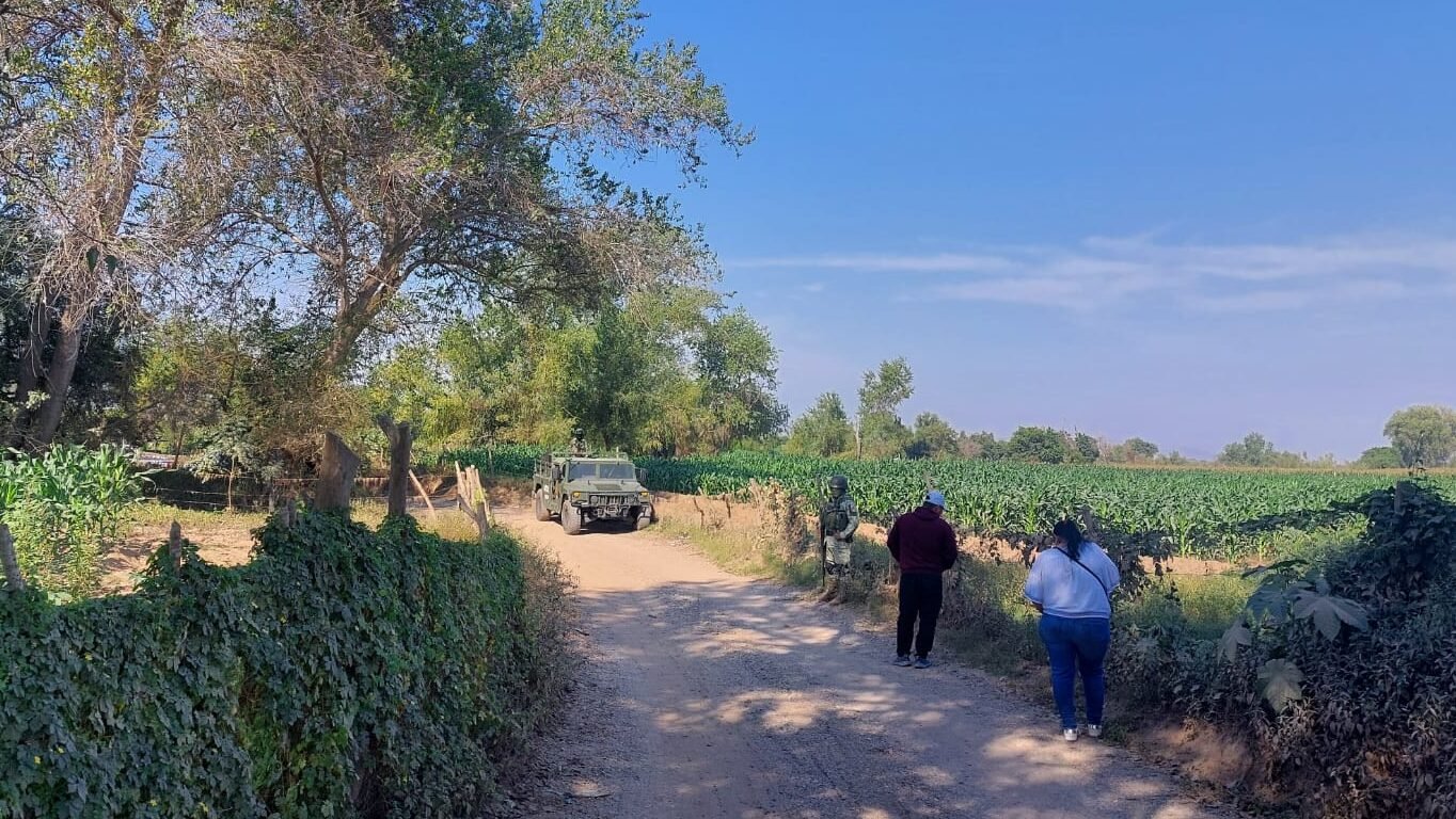 Localizan a cuatro hombres asesinados en Mazatlán .jpeg