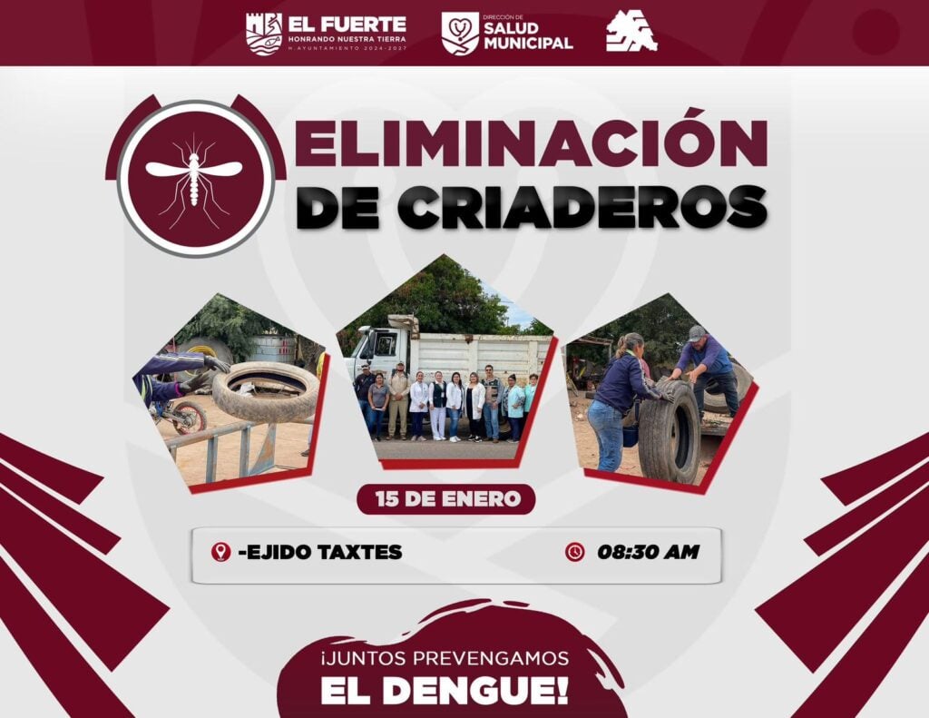 Eliminación de criaderos de mosco