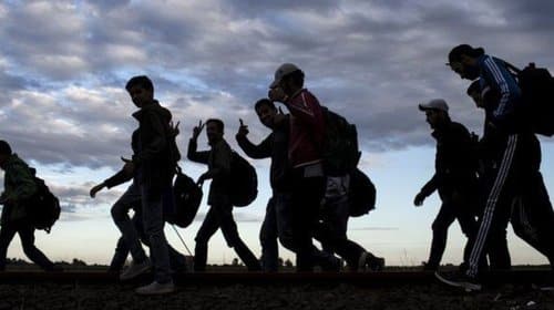 Migrantes