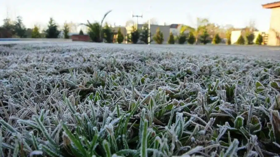 No habrá heladas en zonas agrícolas de Sinaloa en lo que resta de enero