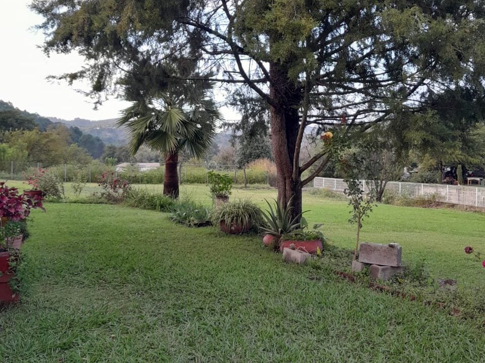 Jardín en la zona Serrana de Sinaloa