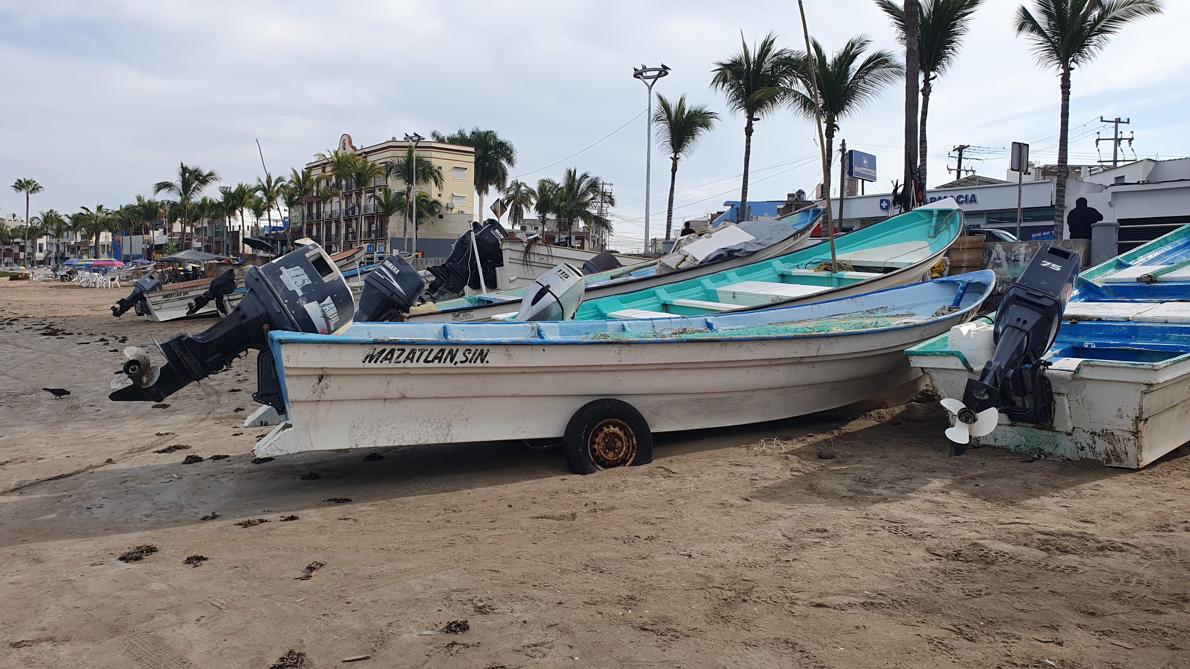 Pescadores playa norte inician 2025 con capturas desfavorables