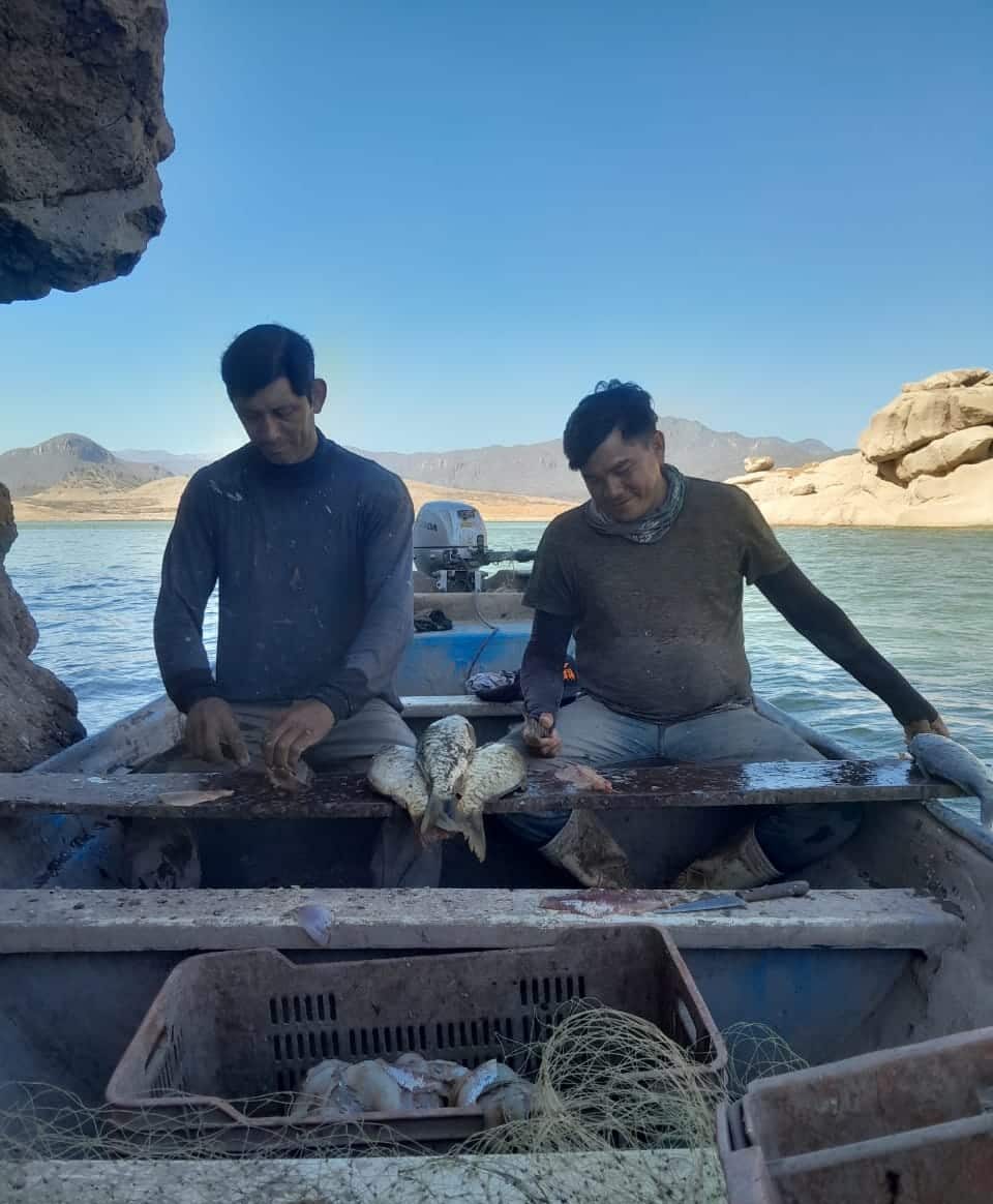 Pescadores presa López Mateos buenas capturas