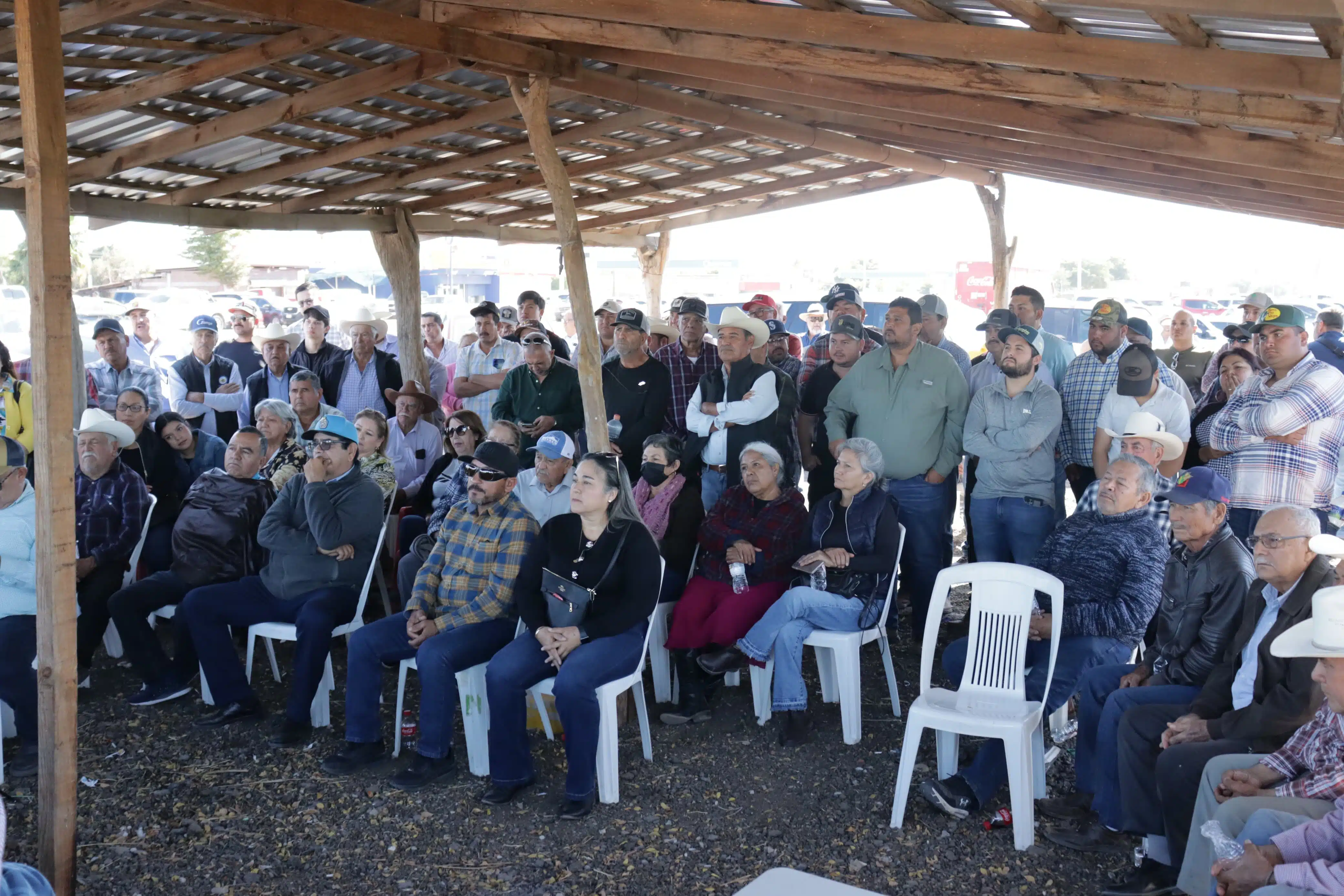 Reunión trigueros