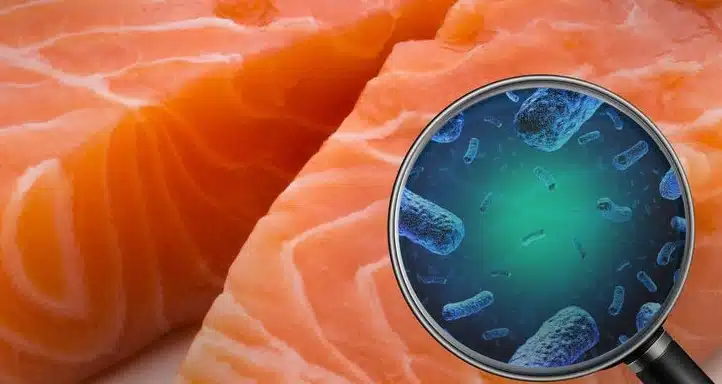 EU ordena retirar este salmón del mercado tras confirmarse su contaminación con bacteria Listeria