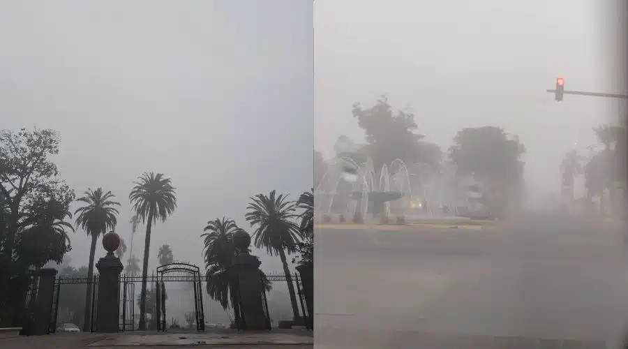 Se registran densos bancos de niebla en la zona norte de Sinaloa