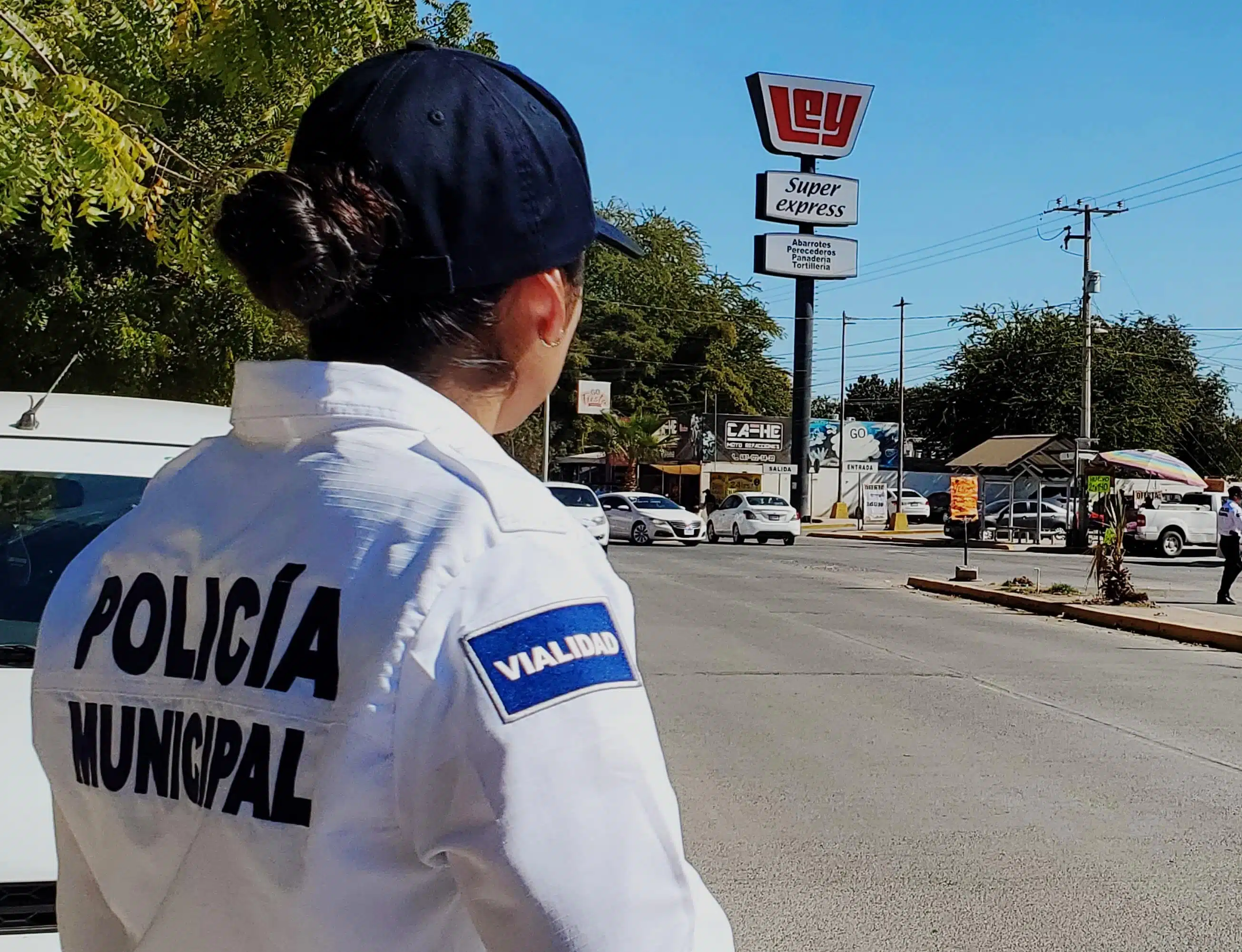 Seguridad Guasave