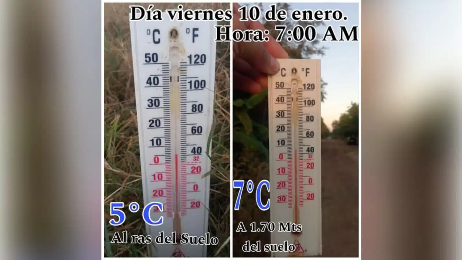 Temperaturas Sinaloa