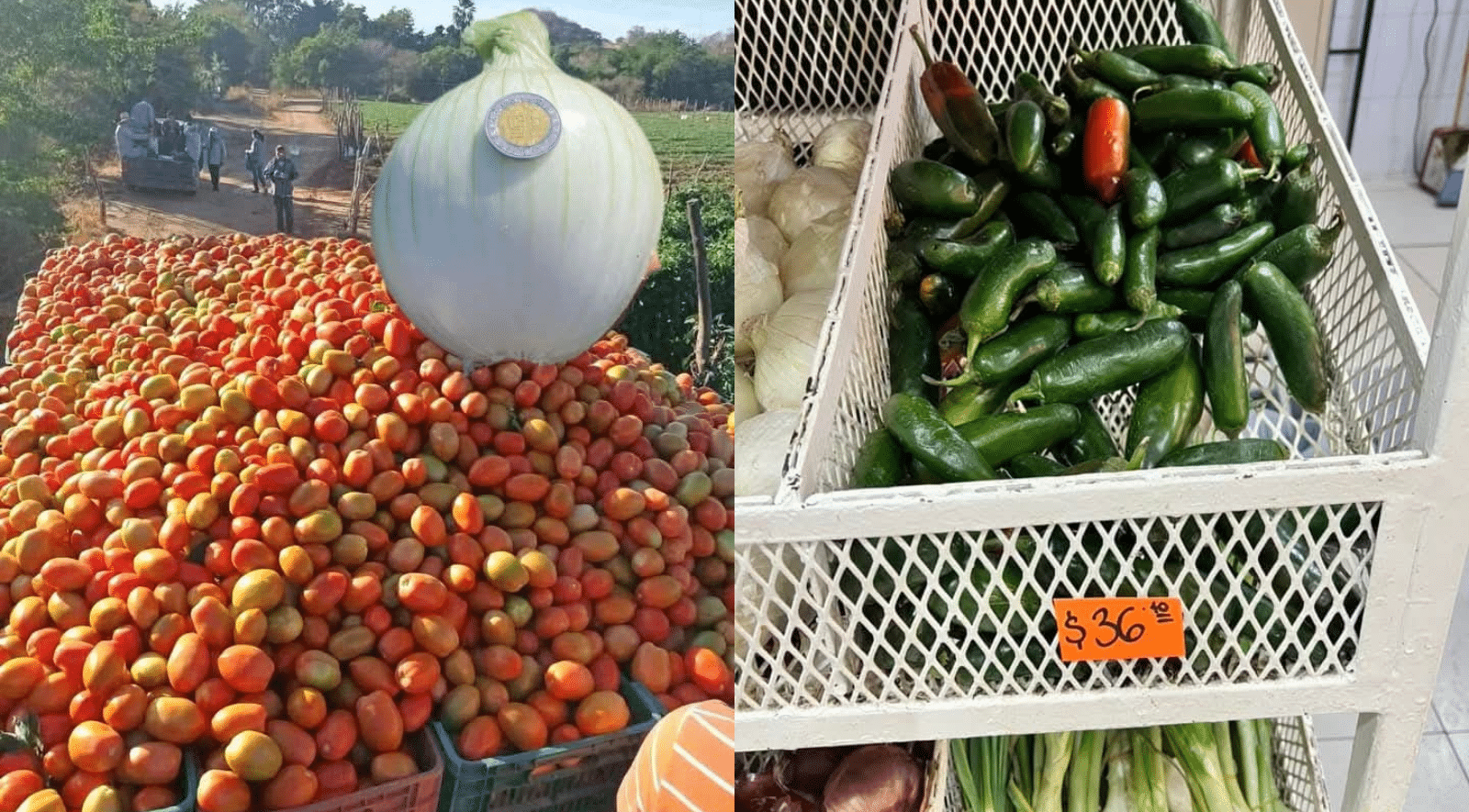 Baratas en el campo, pero caras en supermercados