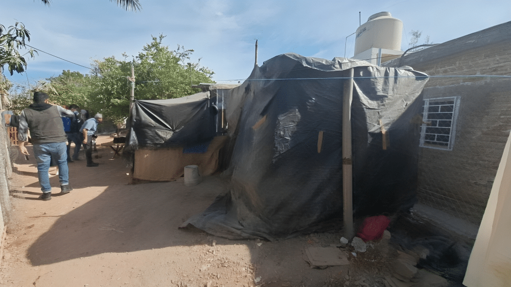 Jornaleros migrantes que trabajan en campos de Sinaloa son contratados por terceras personas