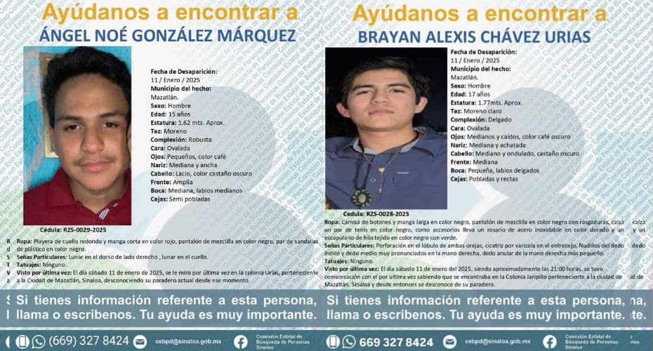 Fichas de búsqueda
