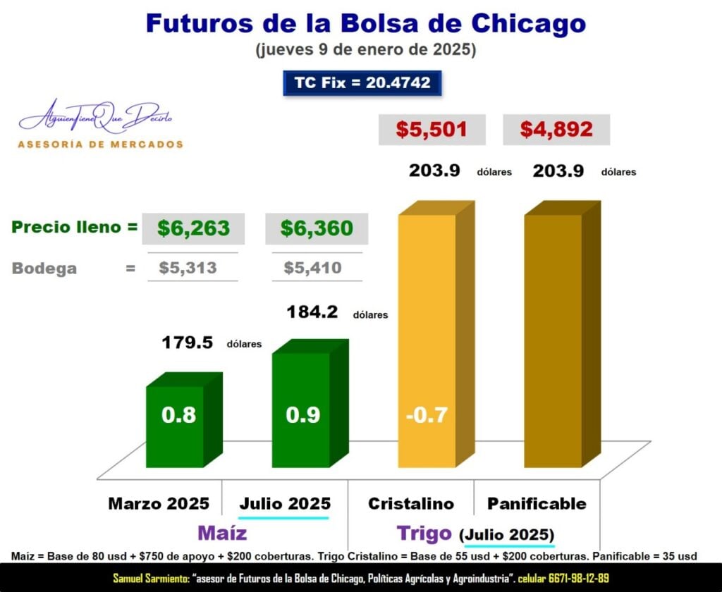 gráfica de ´roducción de maíz