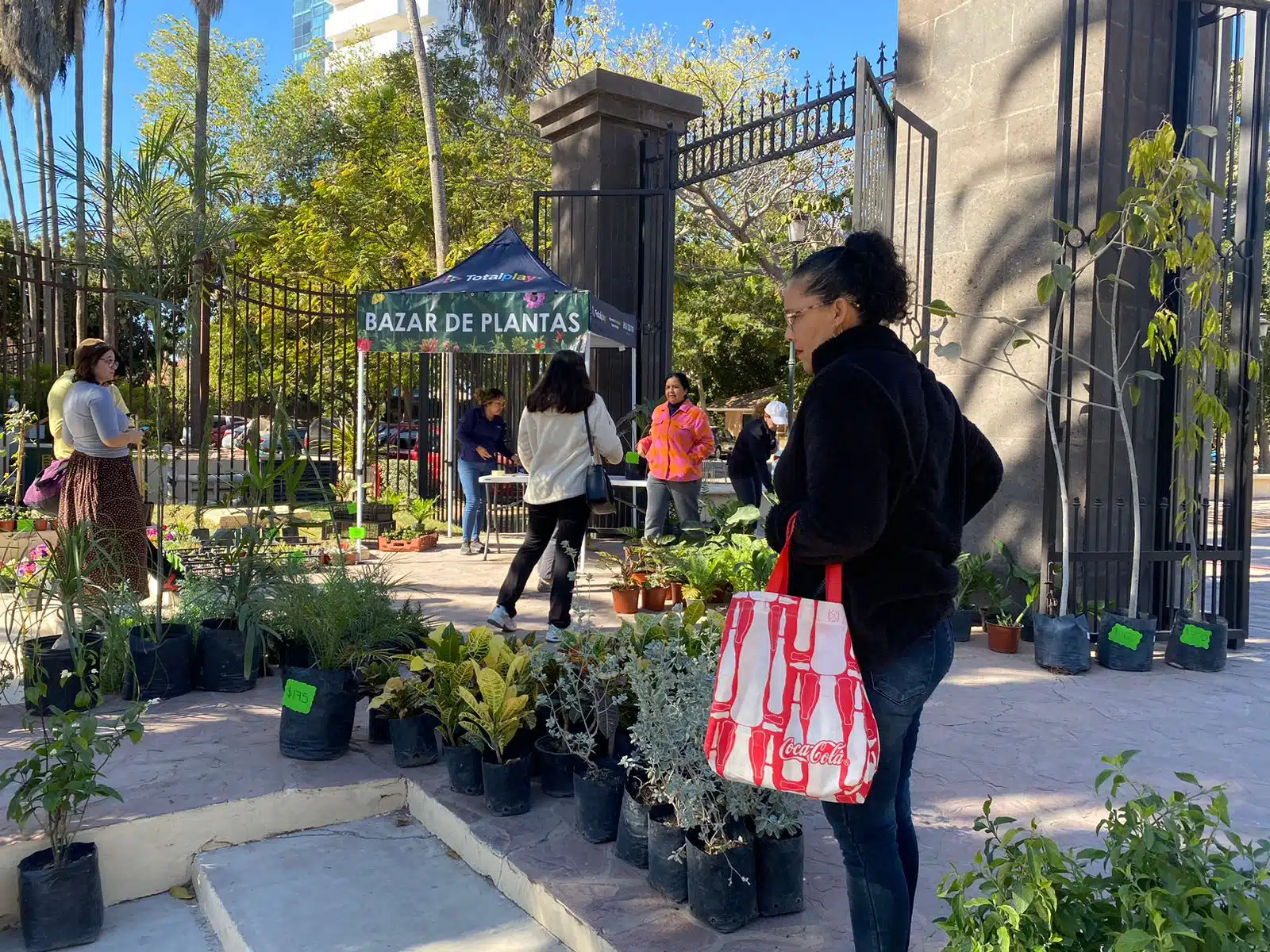 Bazar de plantas en el Parque Sinaloa