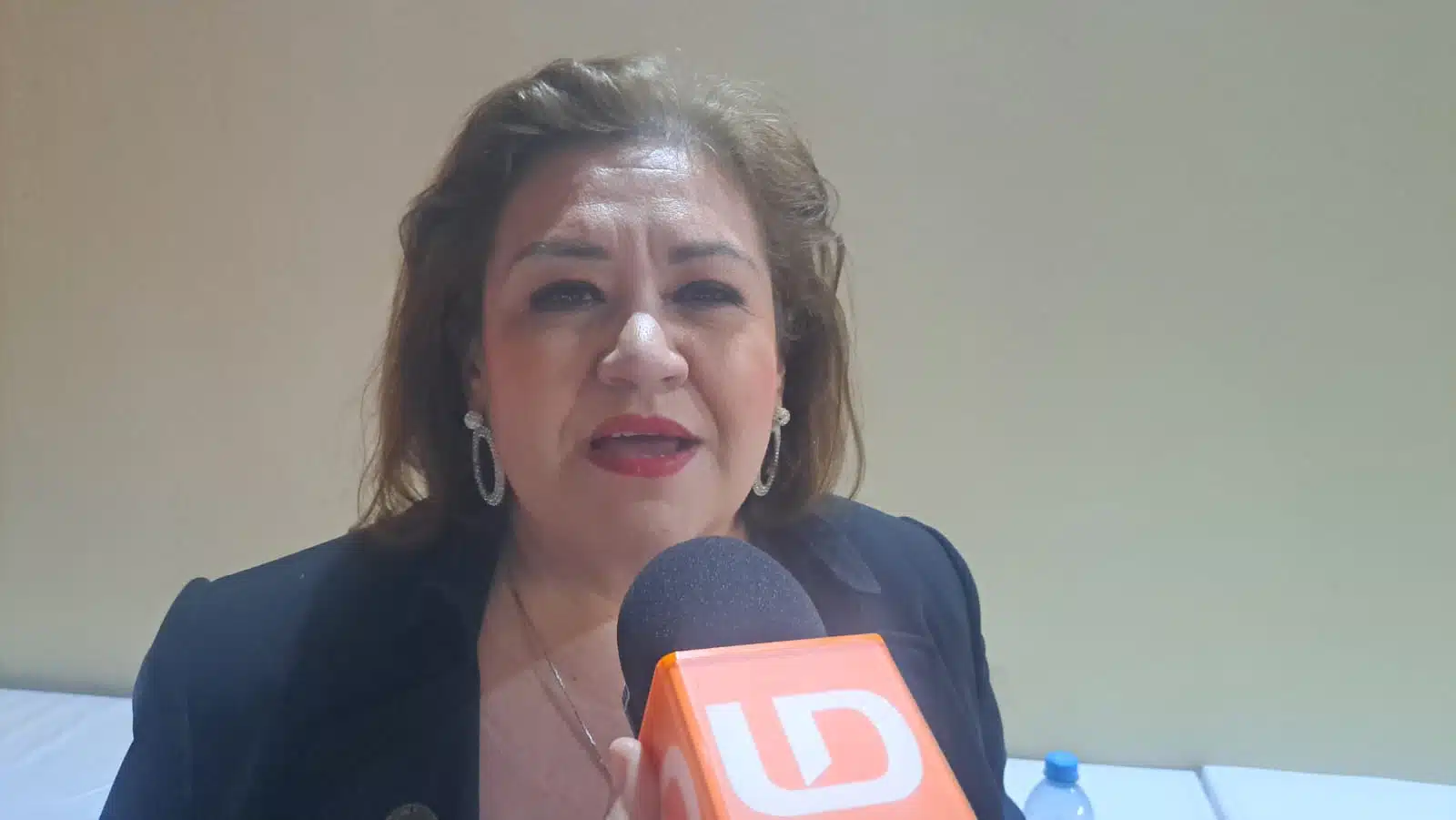 presidenta de la Cámara Nacional de la Industria Restaurantera y Alimentos Condimentados en Sinaloa