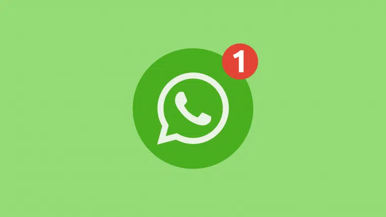 whatsapp Aprende a personalizar las notificaciones para tus contactos