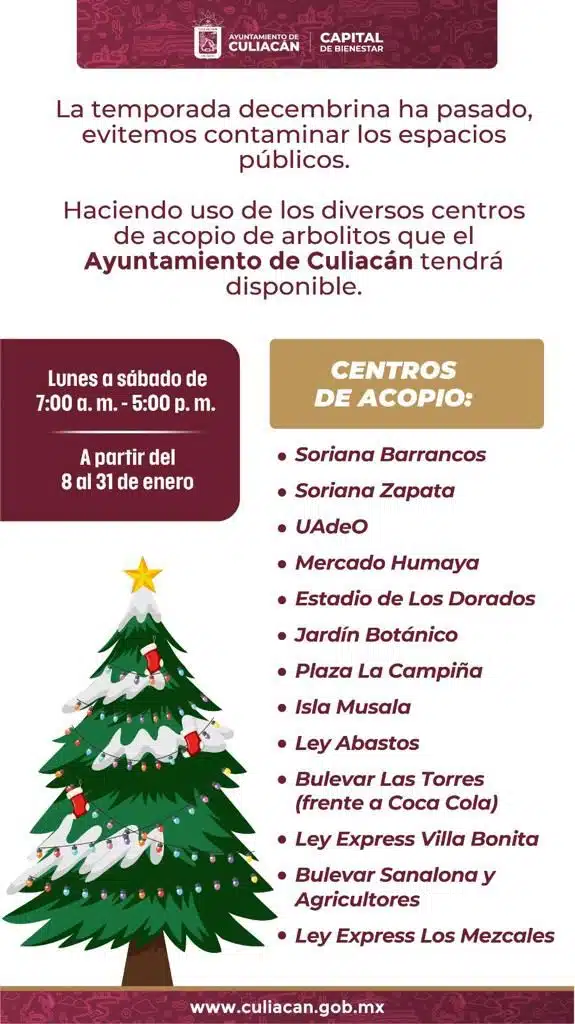 ¿Quitaste el pino de Navidad y no sabes dónde tirarlo En Culiacán instalarán centros de acopio