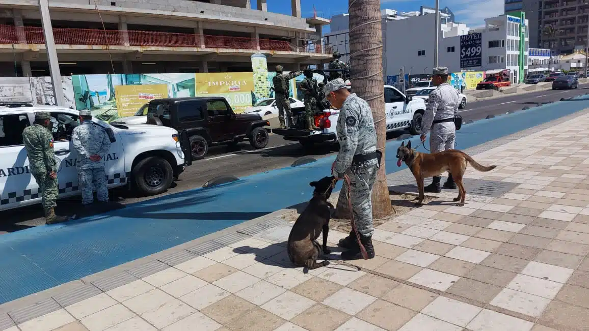 Cuerpos de la guardia nacional en su actividad de seguridad con acompañantes caninos