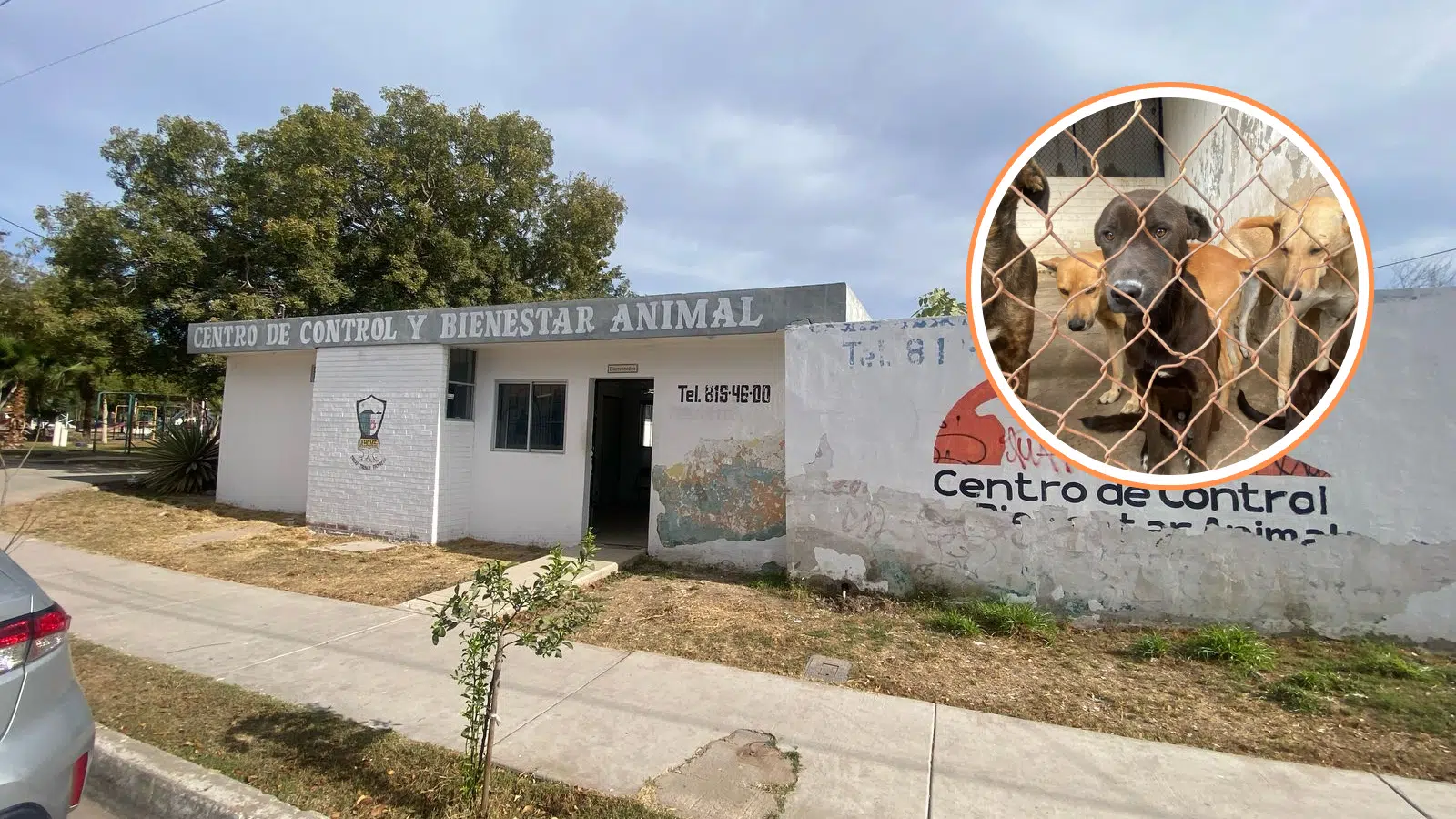 Albergue para mascotas