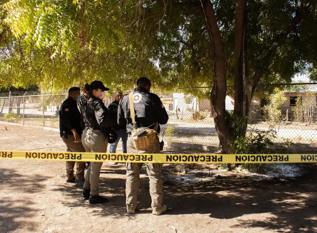 Autoridades inspeccionando uno de los árboles de neem.