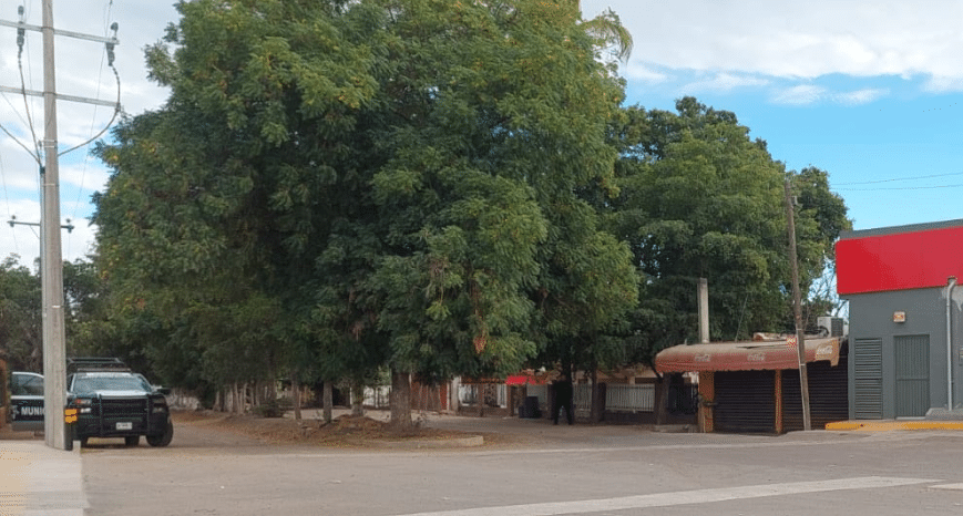 Patrulla de la Policía Municipal cerca de una tienda