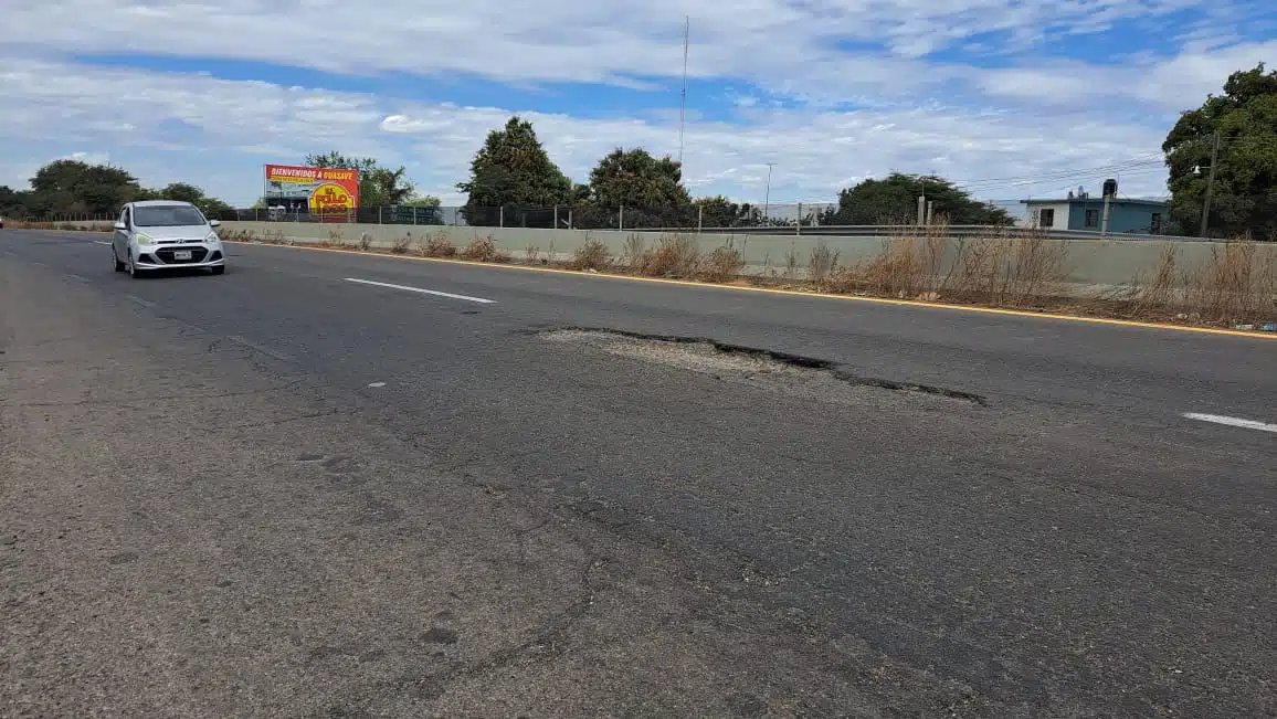 Baches en Guasave