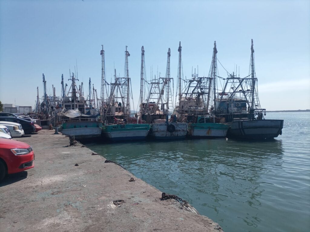 Barcos camaroneros en la orilla del mar.