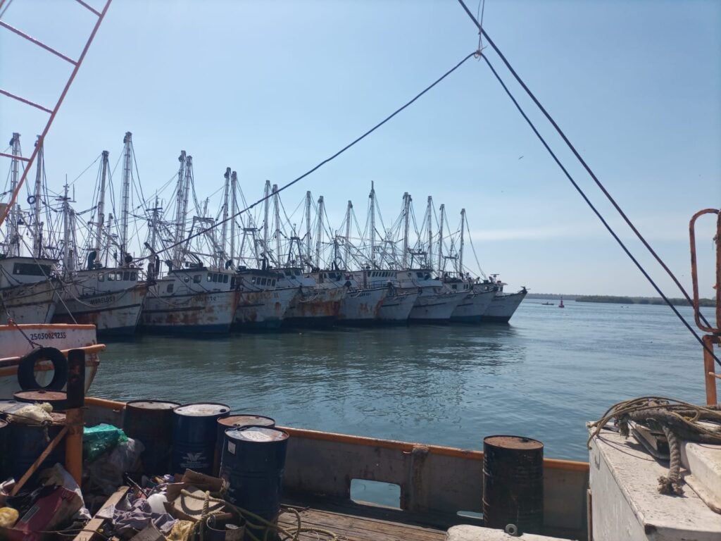 Barcos camaroneros en la orilla del mar.