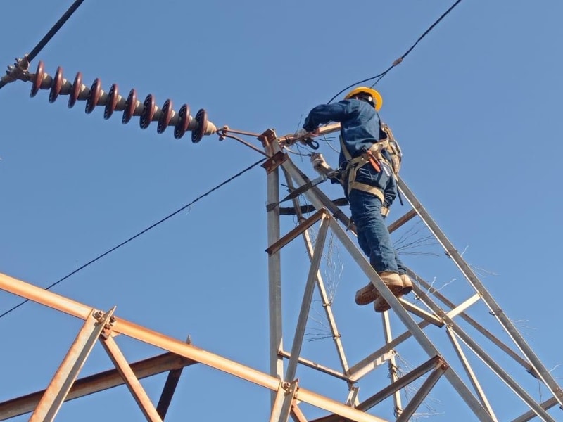 Trabajadores de la Comisión Federal de Electricidad