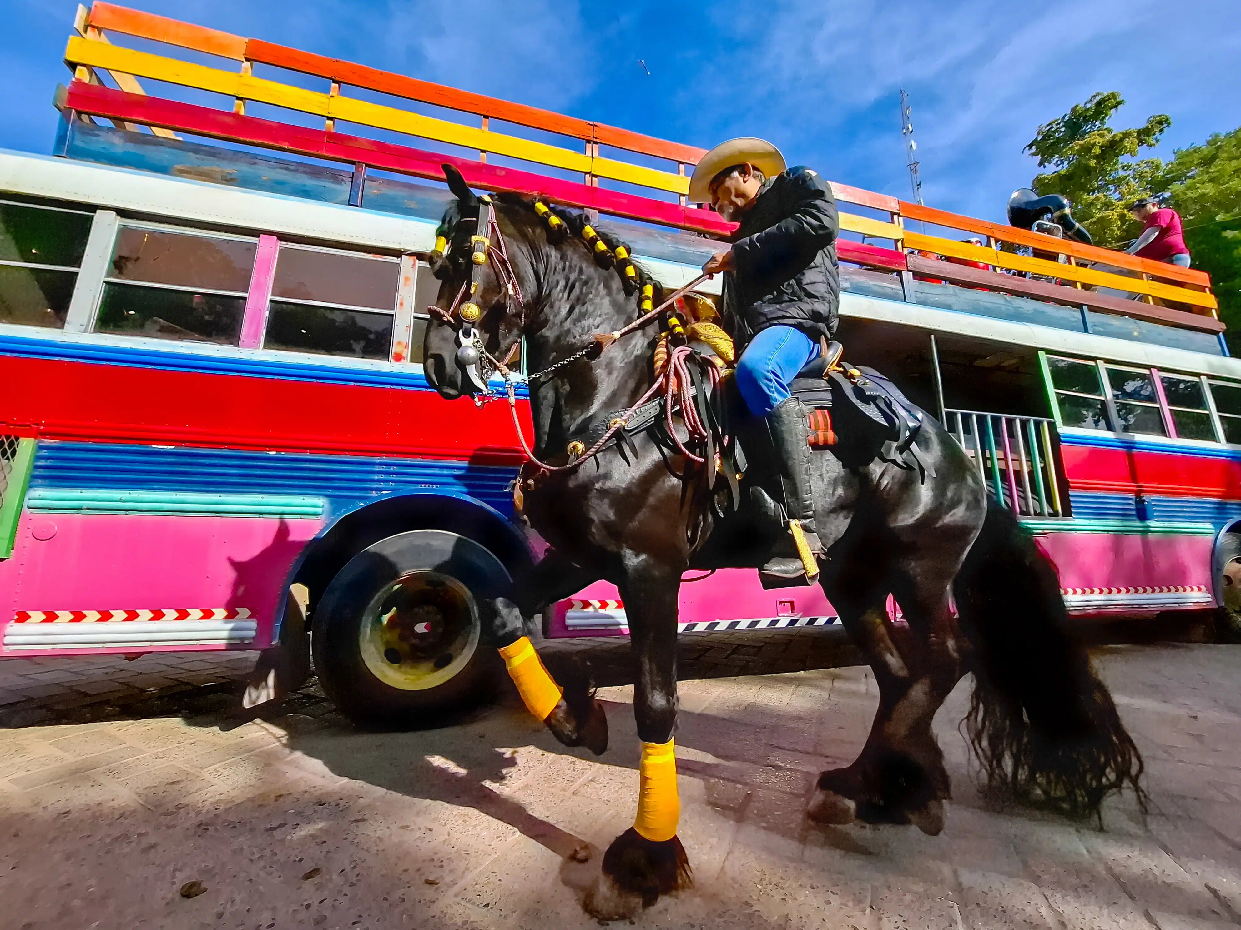 Fotos de los residentes muy encantados con su evento de la cabalgata.