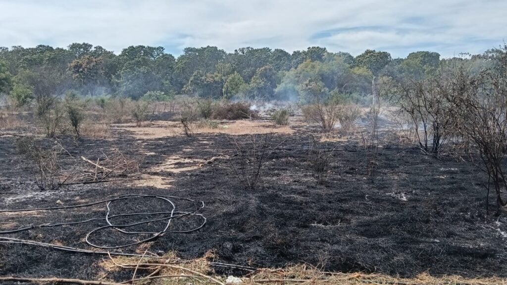 Maleza incendiada en Mazatlán