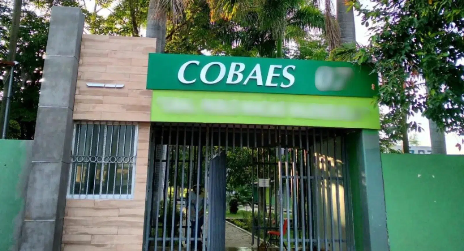 Cobaes