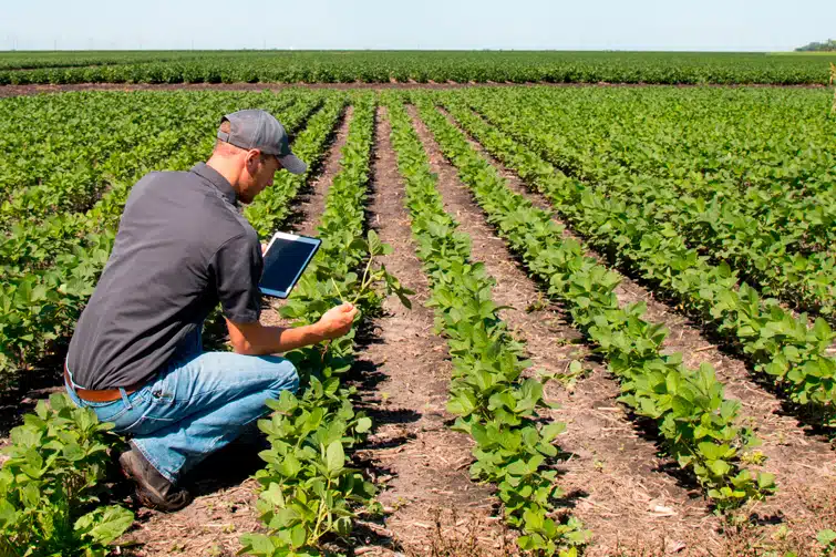 DÍA DEL AGRONOMO ZONA NORTE LOS MOCHIS AHOME