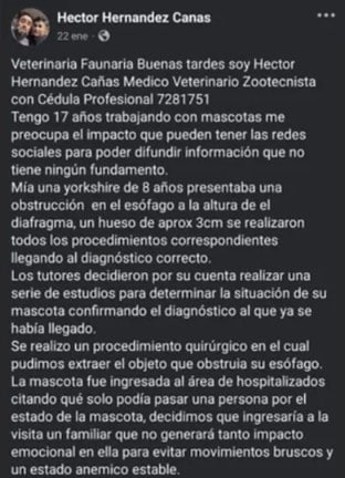 Denuncia de veterinario en redes