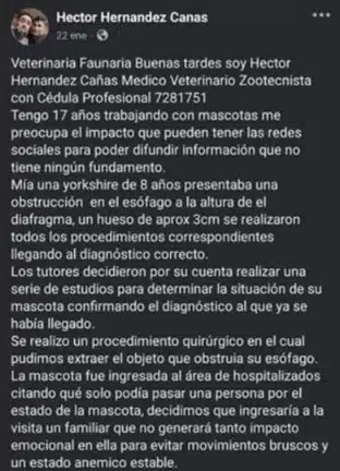 Denuncia de veterinario en redes