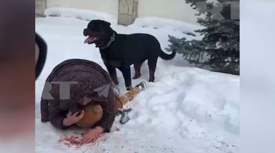 Ataque de perro rottweiler en Rusia