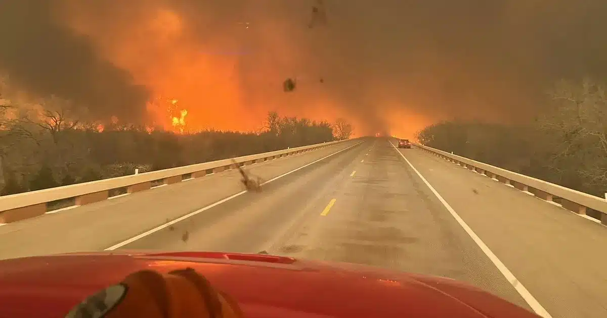 Empresa eléctrica reconoce posible responsabilidad en incendio forestal en Los Ángeles