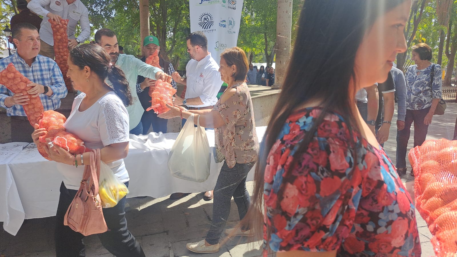 Fotos sobre el Festival Pa' la Papa, ubicada en Plazuela 27 de Septiembre Mochis, Sin