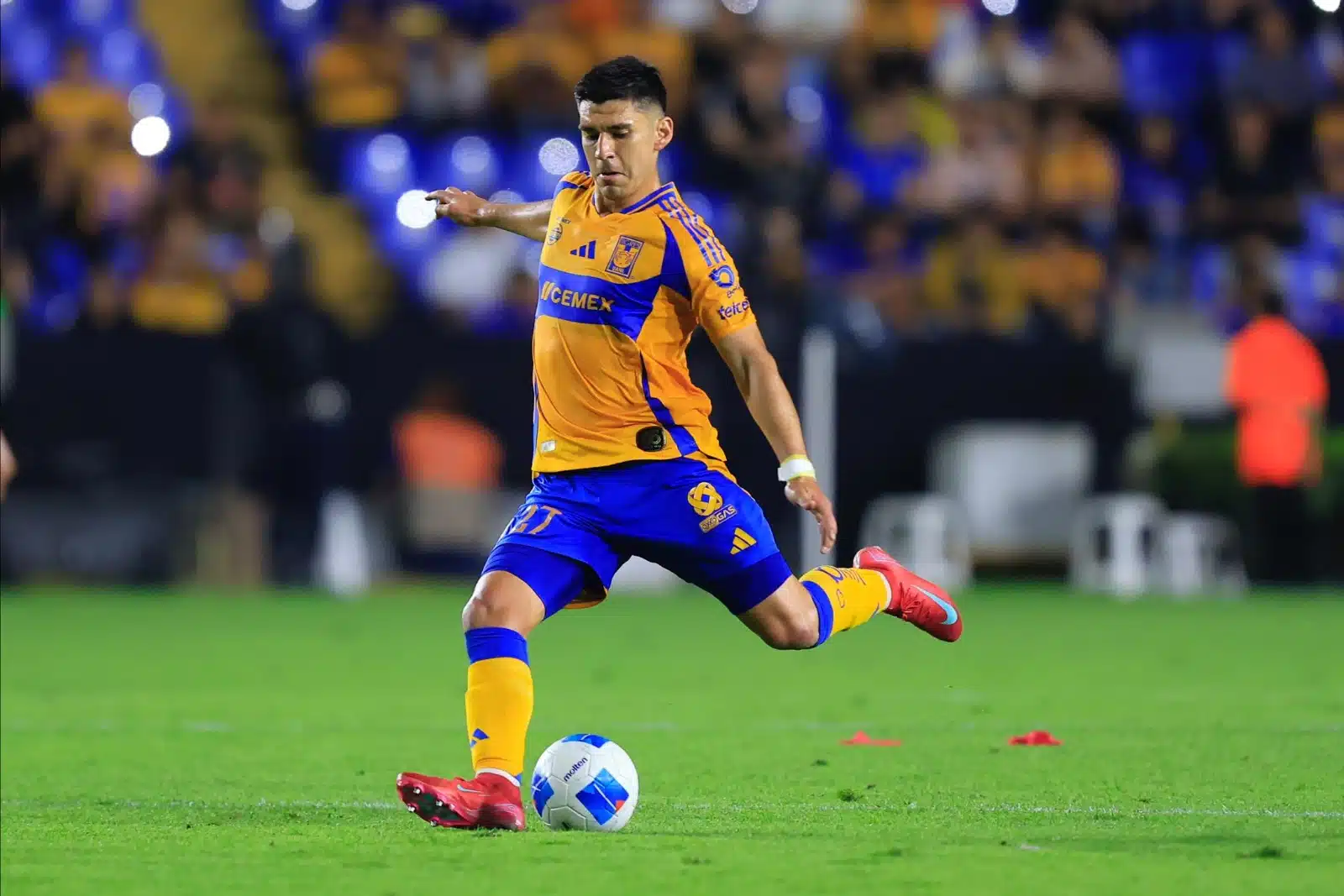 Jugador de Tigres