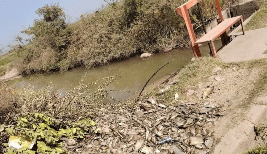 Planta potabilizadora La Arrocera